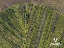 Prodej podílu sadu/vinice, Mutěnice, 511 m2