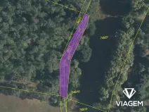 Prodej lesa, Sudovo Hlavno, 361 m2