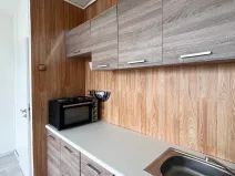 Pronájem bytu 1+kk, Chomutov, Seifertova, 22 m2