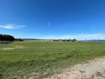 Prodej komerčního pozemku, Zhoř u Tábora, 11995 m2