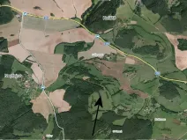 Dražba lesa, Dolní Hbity, 14259 m2
