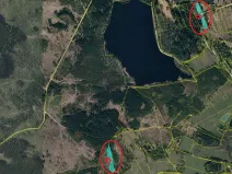 Prodej podílu lesa, Řásná, 3197 m2
