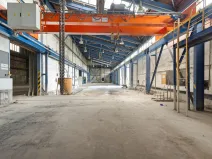 Pronájem výrobních prostor, Ostrava, 9648 m2