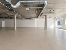 Pronájem obchodního prostoru, Praha - Žižkov, Husitská, 246 m2