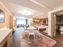 Pronájem bytu 1+kk, Brno, Žlutý kopec, 50 m2