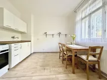 Pronájem bytu 1+1, Brno, Svatopluka Čecha, 47 m2