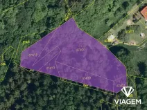 Prodej lesa, Podkopná Lhota, 2034 m2