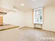 Pronájem bytu 1+kk, Brno, Hlinky, 20 m2