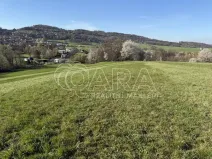 Prodej louky, Hostašovice, 101964 m2