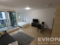 Pronájem bytu 1+kk, Praha - Žižkov, Olgy Havlové, 40 m2