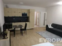 Pronájem bytu 1+kk, Praha - Žižkov, Olgy Havlové, 40 m2