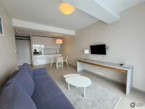 Prodej apartmánu, Dolní Morava, 40 m2