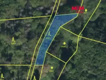 Prodej lesa, Řepníky, 562 m2