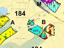 Dražba lesa, Volfířov, 80 m2