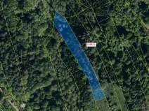 Dražba lesa, Ludkovice, 2302 m2