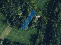 Dražba lesa, Přerov, 1000 m2