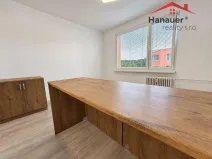 Pronájem bytu 1+1, Jílové - Kamenná, Mládeže, 36 m2