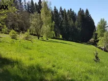 Prodej pozemku pro bydlení, Kraslice, 4558 m2