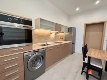 Pronájem bytu 1+1, Opava - Předměstí, Na Nivě, 37 m2