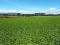 Prodej louky, Police nad Metují, 17068 m2