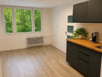 Prodej bytu 2+kk, Praha - Krč, Hurbanova, 41 m2