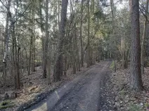Prodej pozemku, Probulov, 3017 m2