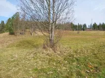 Prodej pozemku pro bydlení, Zlaté Hory, 110 m2