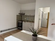 Pronájem bytu 1+1, Tachov, Želivského, 39 m2