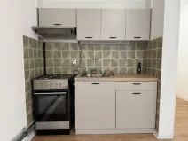 Pronájem bytu 1+1, Tachov, Želivského, 39 m2