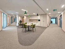 Pronájem kanceláře, Praha - Košíře, Vrchlického, 350 m2