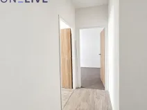 Pronájem bytu 2+1, Plzeň, Resslova, 50 m2