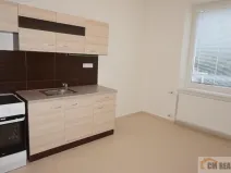 Pronájem bytu 1+1, Prostějov, Milíčova, 43 m2