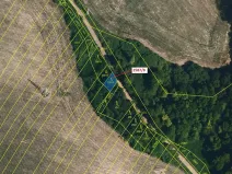 Dražba lesa, Horní Dunajovice, 110 m2