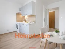 Pronájem bytu 1+1, Havířov - Prostřední Suchá, Hornická, 31 m2