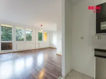 Prodej bytu 3+kk, Milovice - Mladá, Višňová, 66 m2