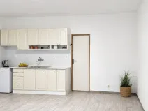 Pronájem bytu 1+kk, Brno, bratří Sapáků, 33 m2