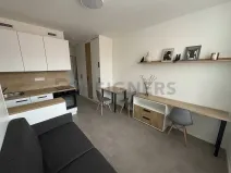 Pronájem bytu 1+kk, Praha, Plzeňská, 20 m2