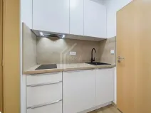 Pronájem bytu 1+kk, Praha - Žižkov, Seifertova, 25 m2