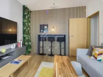 Pronájem bytu 1+kk, Praha - Žižkov, Seifertova, 25 m2