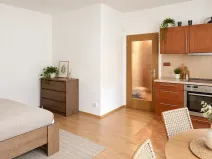 Pronájem bytu 1+kk, Praha - Smíchov, Plzeňská, 32 m2