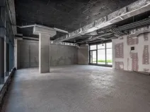Prodej obchodního prostoru, Praha - Nusle, Nuselská, 303 m2