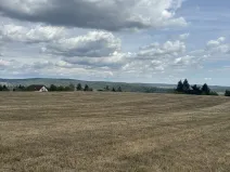 Prodej pozemku, Brno, Vejrostova, 2440 m2