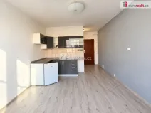 Pronájem bytu 1+kk, Ústí nad Labem - Severní Terasa, Ladova, 19 m2