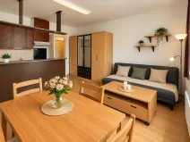 Pronájem bytu 1+kk, Praha - Nusle, Nad Jezerkou, 37 m2