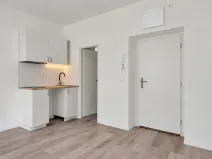 Prodej bytu 1+kk, Praha, 17 m2