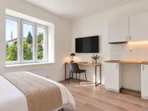 Prodej bytu 1+kk, Praha, 17 m2