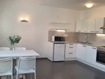 Pronájem bytu 1+kk, Brno, Stará, 46 m2