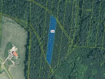 Dražba lesa, Záhoří, 4422 m2