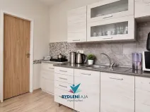 Prodej bytu 2+1, Teplice, Štúrova, 56 m2