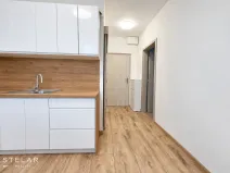 Pronájem bytu 1+1, Hlučín, 28. října, 31 m2